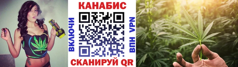 Галлюциногенные грибы Прохладный