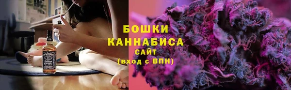молекула духа Саяногорск