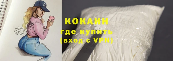 спиды Алзамай
