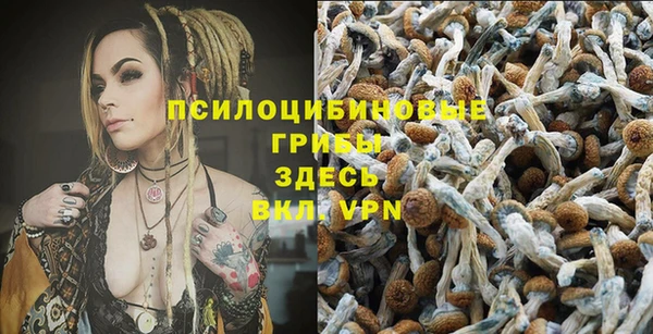 мдпв Сафоново