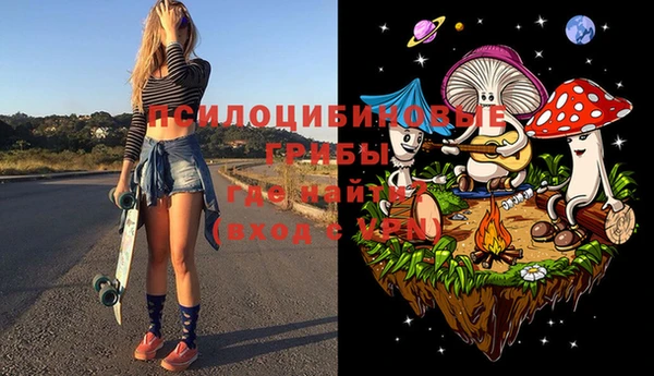 spice Алексеевка