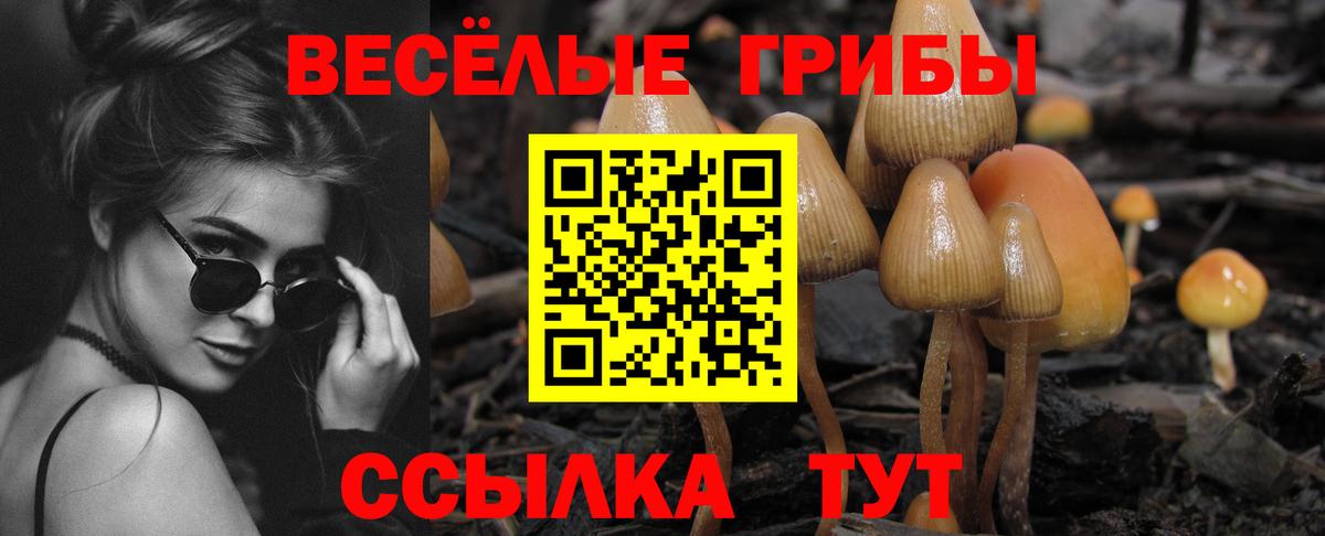 Псилоцибиновые грибы Psilocybine cubensis Прохладный